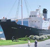 Discovery Bay Tourism Experience - Southport Accommodation