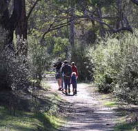 Syd's Rapids and Aboriginal Heritage Trail Avon Valley - Accommodation Southport