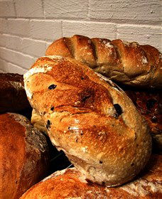 Bakehouse On Wentworth Springwood - Southport Accommodation 3