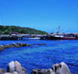 King Island Dairies - Accommodation Southport