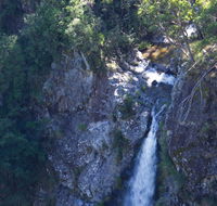 Lyrebird Falls walking track - Accommodation Southport