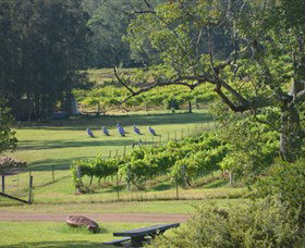 Wollombi Wines - Accommodation Southport 8