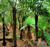 Pegarah Private Nature Reserve  Parenna Place - Accommodation Southport