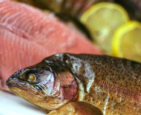 Lovedale Smokehouse Gourmet Pantry, Cafe And Masterclasses - Accommodation Southport 0