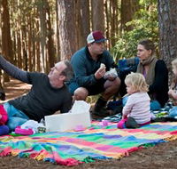 State Forests of the Watagan Mountains - Accommodation Southport