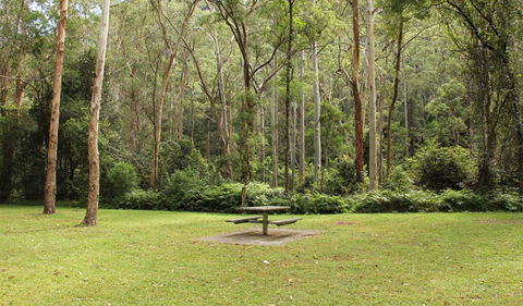 Dharug National Park - Accommodation Southport 3