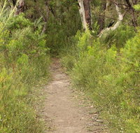 Three Views walking track - Southport Accommodation