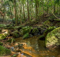 Palm Grove Nature Reserve - Southport Accommodation