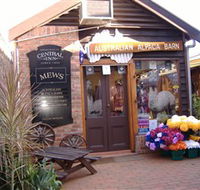 Australian Alpaca Barn - Morpeth - Southport Accommodation