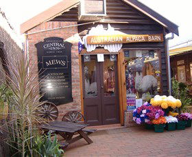 Australian Alpaca Barn - Morpeth - Southport Accommodation 0