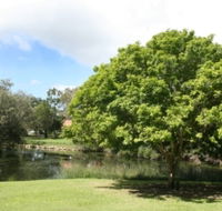 Hervey Bay Botanic Gardens - Accommodation Southport