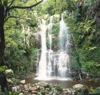 Budderoo National Park - The Falls Walk - Southport Accommodation
