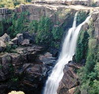Minnamurra Rainforest Centre Budderoo National Park - Southport Accommodation
