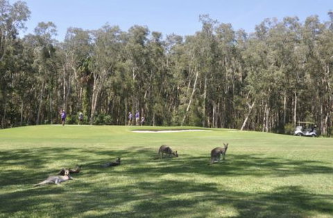 Emerald Downs Golf Course - Accommodation Southport 4