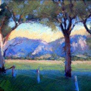 Galleries In The Gardens - Southport Accommodation 4