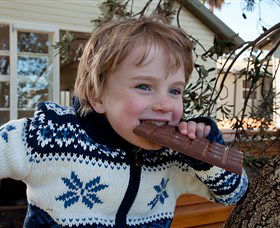 The Sydney Chocolate School - Southport Accommodation 0