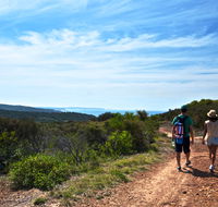 Moonee Beach trail - Accommodation Southport