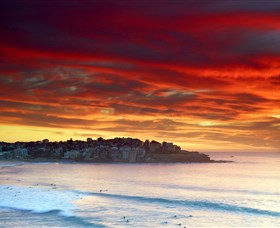 Aquabumps - Southport Accommodation 8