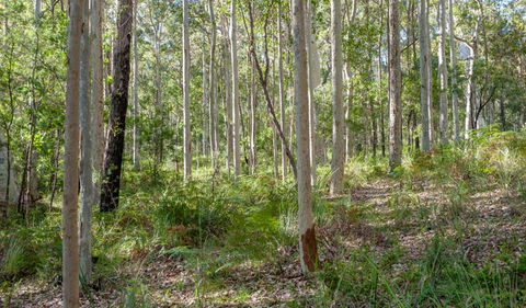 Anabranch Loop Track - Southport Accommodation 2