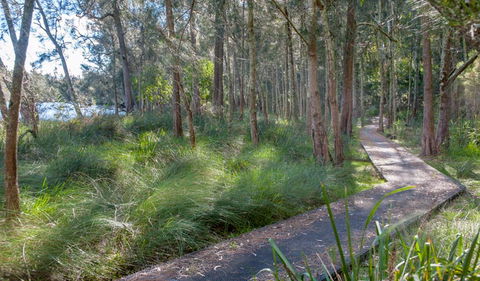 Anabranch Loop Track - Southport Accommodation 3