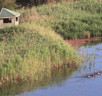Spring Creek Bird Hide - Accommodation Southport