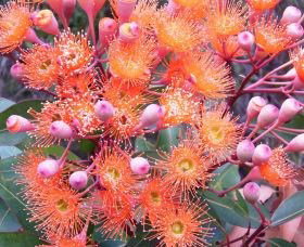 Peaceful Bay - Accommodation Southport 2