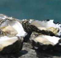 Jim Wilds Oyster Service