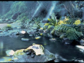 Coomera Circuit - Southport Accommodation 0