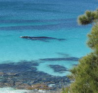 Jervis Bay Marine Park - Southport Accommodation