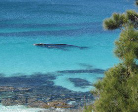 Jervis Bay Marine Park - Accommodation Southport 0