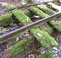Wootton Historical Railway Walk - Southport Accommodation