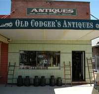Old Codgers Antiques - Southport Accommodation