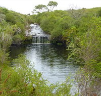 Booderee National Park Green Patch and Telegraph Creek Walking Tracks - Southport Accommodation