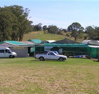 Tinonee Orchid Nursery - Southport Accommodation