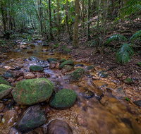 Starrs Creek picnic area - Southport Accommodation
