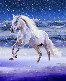 Australian Outback Spectacular: High Country Legends - Southport Accommodation 1
