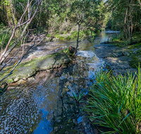 Dawson River walking track - Southport Accommodation