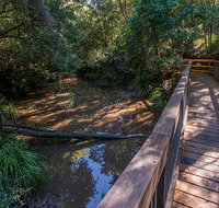 Ms Kellys walking track - Southport Accommodation