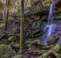 Coorabakh National Park - Southport Accommodation