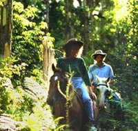 Clarendon Forest Retreat Horse Riding - Southport Accommodation