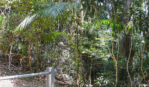 Goorgana Walking Track - Southport Accommodation 0