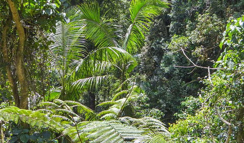 Goorgana Walking Track - Southport Accommodation 1