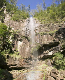 The Channon NSW Southport Accommodation