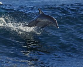 Town Centre - Accommodation Southport 1