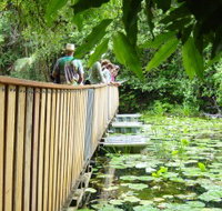 Rocky Creek Dam - Southport Accommodation