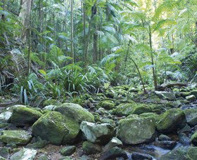 Rocky Creek Dam - Southport Accommodation 5
