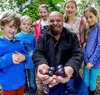 Wigay Aboriginal Culture Park - Southport Accommodation