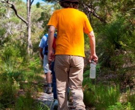 Naree Budjong Djara National Park - Accommodation Southport 3