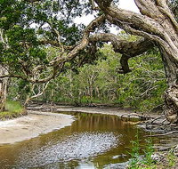 Saltwater National Park - Southport Accommodation