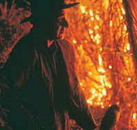 The Shed Gallery - Southport Accommodation